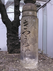 京桥母柱201402_R.JPG