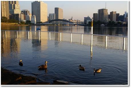 10月20日永代桥也.jpg