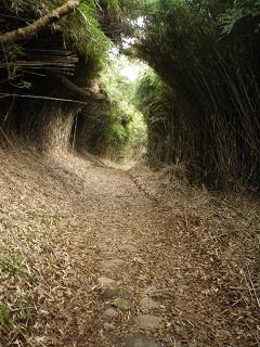 箱根旧街道1.JPG