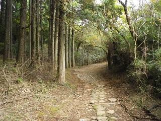 箱根旧街道2.JPG