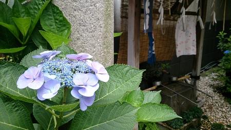 末广神社450.jpg