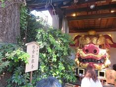 神社银杏235.jpg