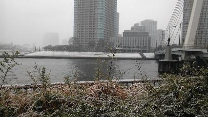 佃・石川岛雪2.JPG