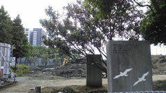 丰海20140915-03.JPG