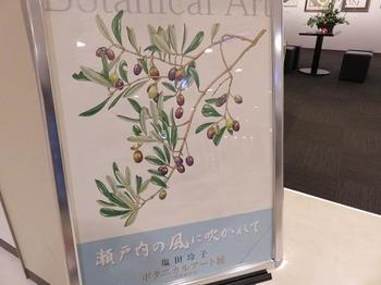 botani002.JPG