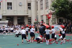 阪本小学运动会(2).JPG