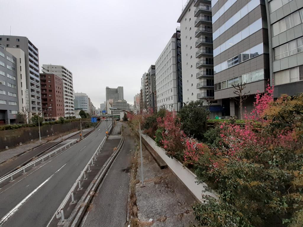  在筑地川遗址上行驶的高速公路之谜