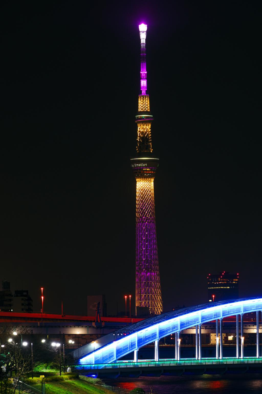 想更好地看天空树…… 小传马町的日本辛夷…