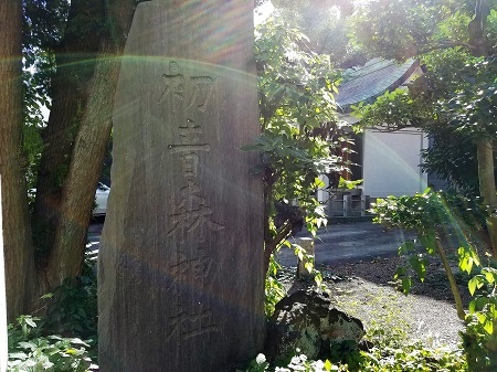  初音春告鸟鸣叫的森