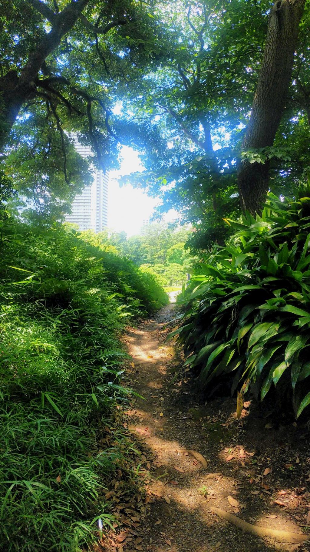  隐藏,烧焦,囤积,一下子打开!
～这就是“障景”的秘诀～