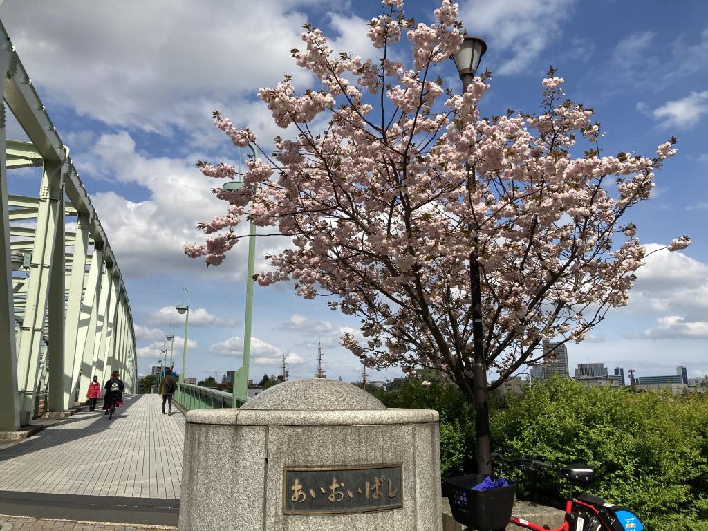 晚开八重樱发现! 用一个字写过佃月岛地区的桥14座吧!