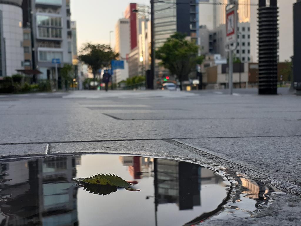  只有雨后才能看到的风景~改变视线,拍摄一张很棒的照片吧!～