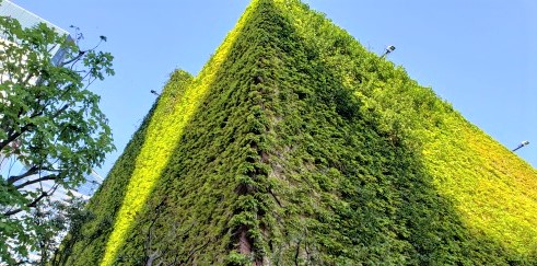  [花与绿与水]
推荐您在晴海特里顿广场的花园散步。