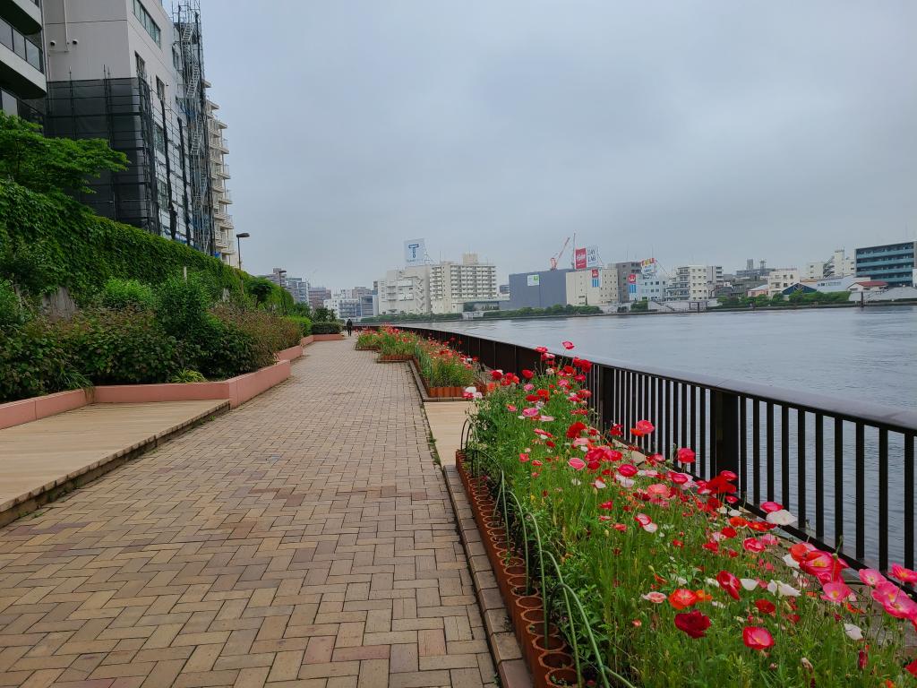 隅田川的花坛地图为隅田川的水边增添色彩的花坛。你知道它的分布吗?