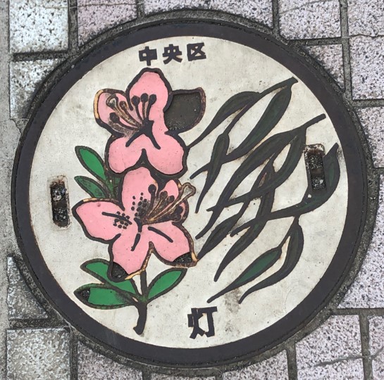 画有杜鹃花和柳树的“井盖”中央区的圆形物体