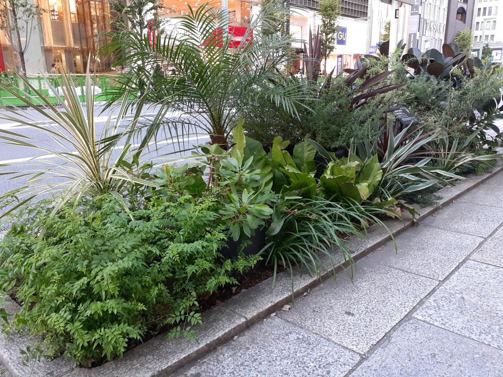  NEW GINZA STREETSCAPE～在银座的街角思考的日本传统与温暖化～