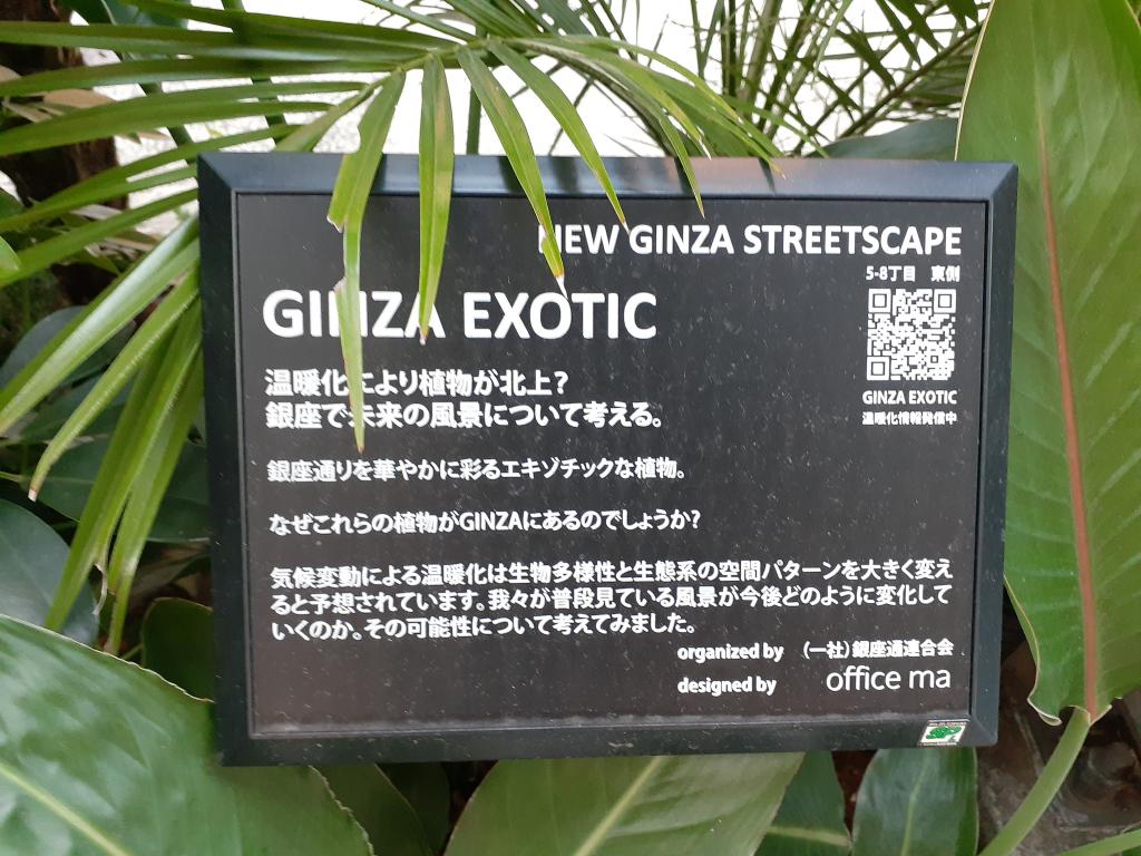  NEW GINZA STREETSCAPE～在银座的街角思考的日本传统与温暖化～