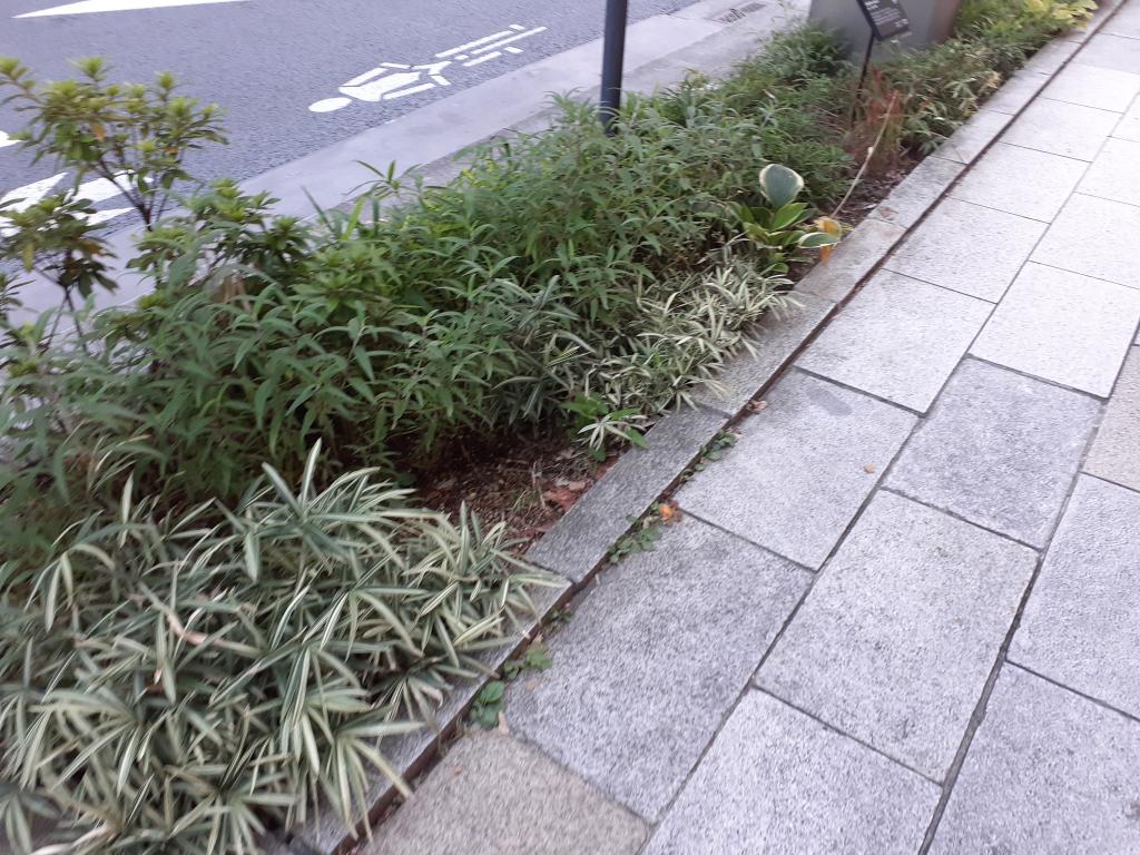  NEW GINZA STREETSCAPE～在银座的街角思考的日本传统与温暖化～