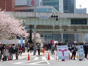  院展・日本桥祭