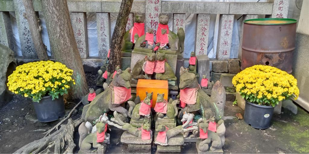 狐狸也装饰着日本桥笠间稻荷神社的菊花装饰