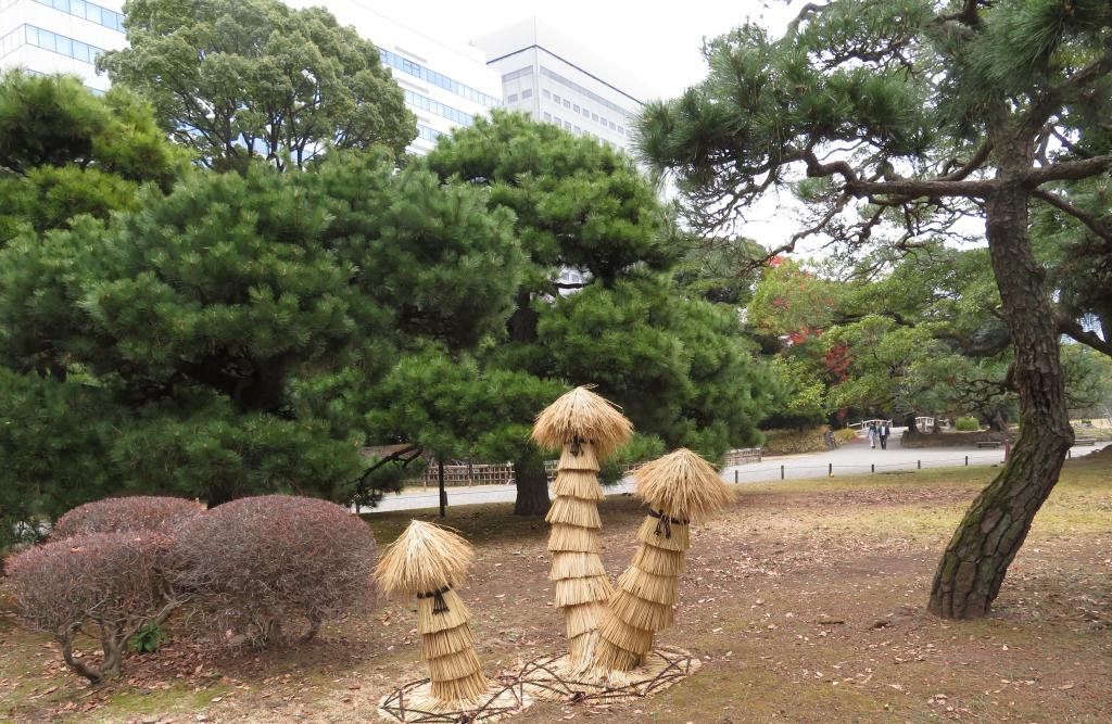 保护冬季风景线植物免受霜雪侵害的“蕨菜”浜离宫恩赐庭园初春的装束　