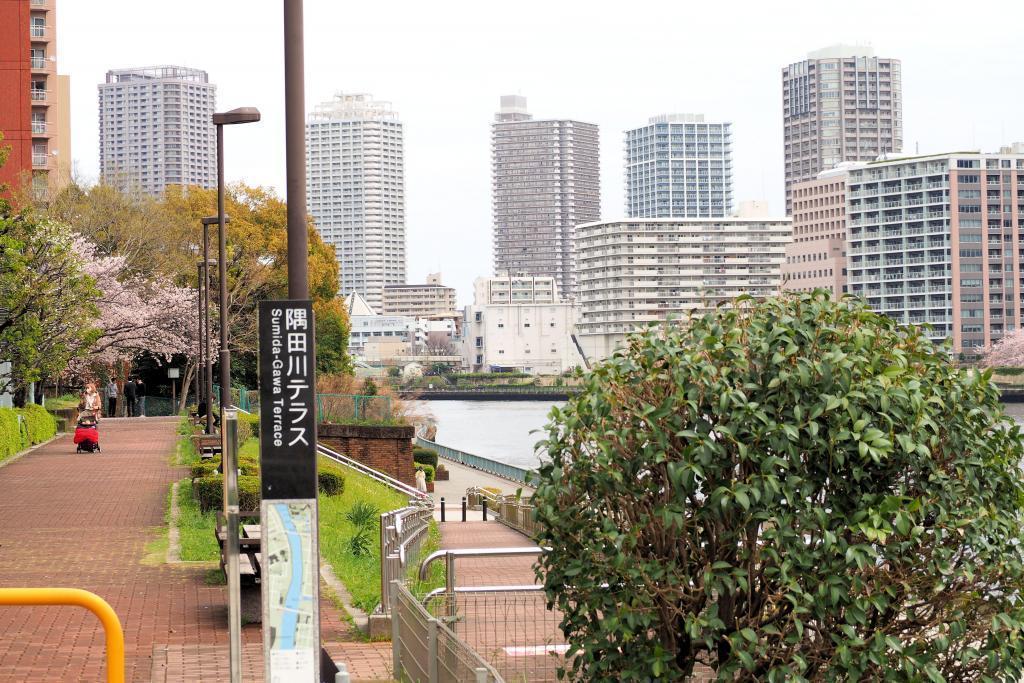  想试着滚动隅田川・はとば公园里的大球