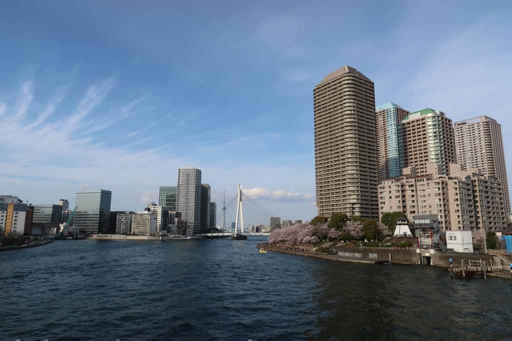 从中央大桥到佃大桥的春天正式演出! 走吧从隅田川阳台眺望的“东京晴空塔”后篇