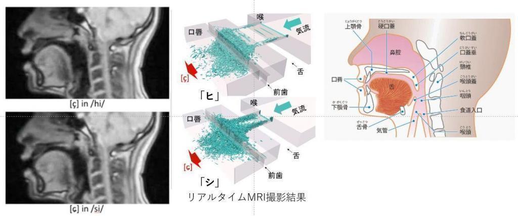 「ひ」和「し」的发音江户方言的「ひ」和「し」的混同