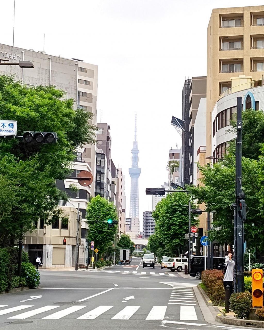 昭和天皇临幸的“御幸大道”和纪念碑东日本桥也有“县居之迹”的指示牌