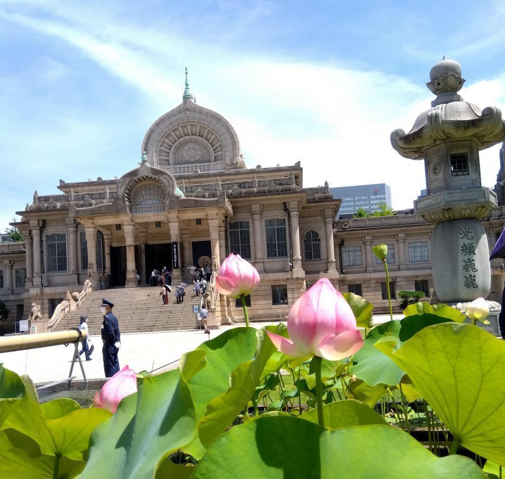 莲花盛开,天空中有白色扫帚云筑地本愿寺6月的参拜卡和莲花