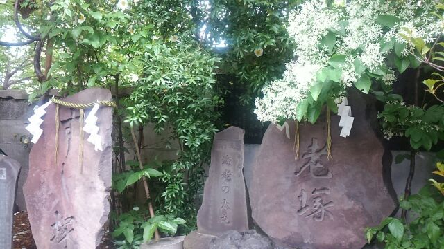  筑地波除神社之类的话,5月的银座有Malonye...