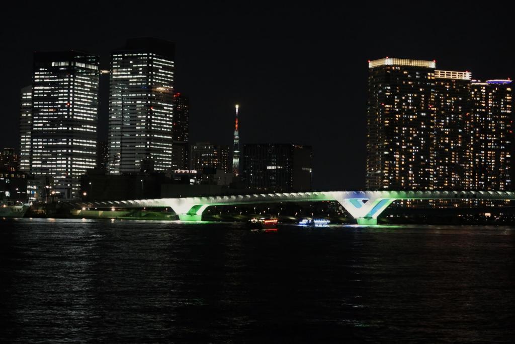 在丰洲大桥的后面,竟然是东京晴空塔! 从对岸眺望的中央区夜景