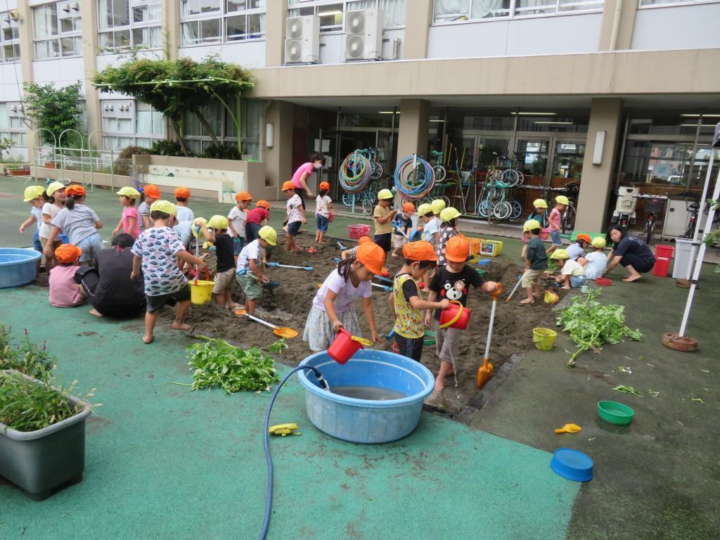 为认真致力于幼儿教育的中央区加油! 中央区的明治6年到150年有历史的小学和幼儿园的公共教育牵引着时代!