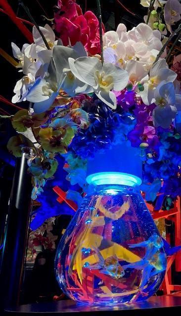  金鱼飞舞的幻想回廊
ART AQUARIUM美术馆GINZA