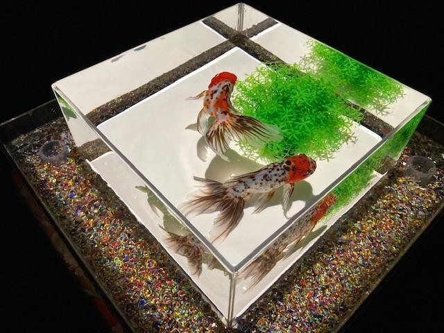  金鱼飞舞的幻想回廊
ART AQUARIUM美术馆GINZA