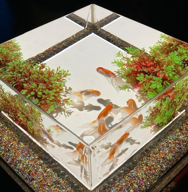  金鱼飞舞的幻想回廊
ART AQUARIUM美术馆GINZA