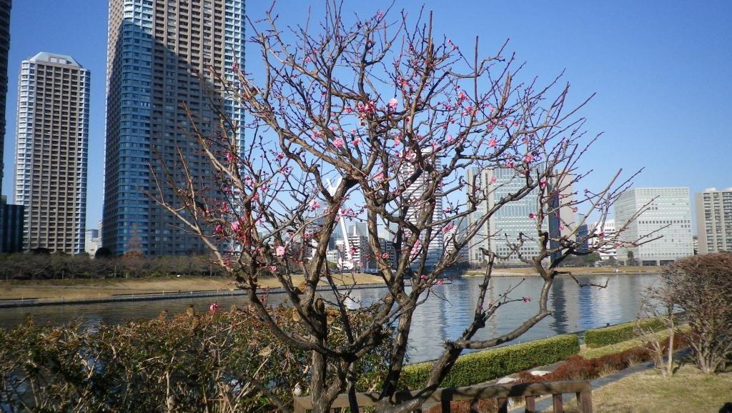  今天天气晴朗纳雷多莫波高西