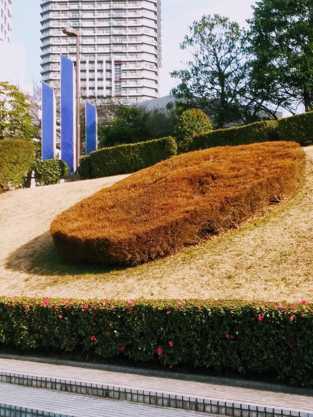  月岛海水浴场一考察