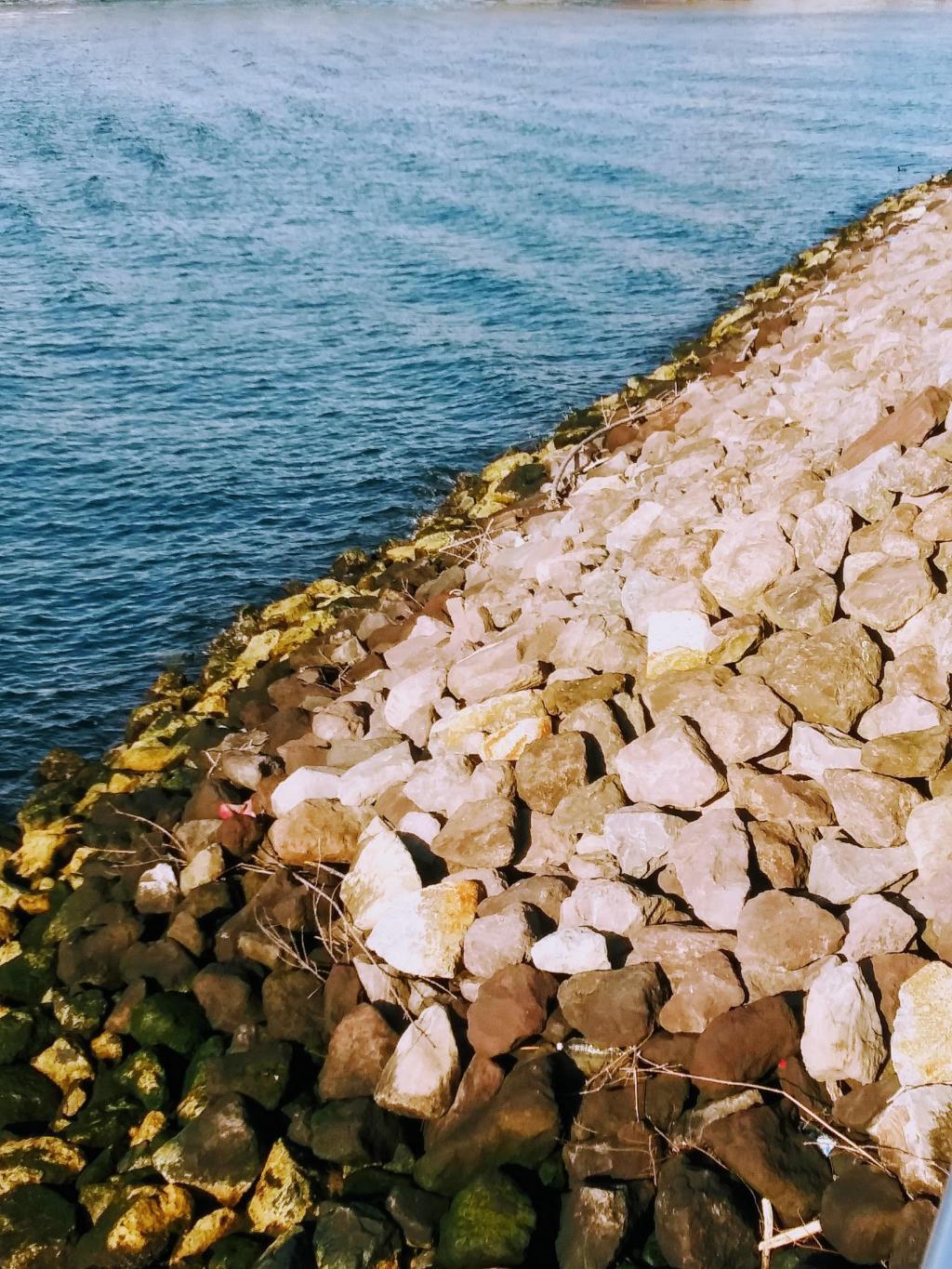  月岛海水浴场一考察