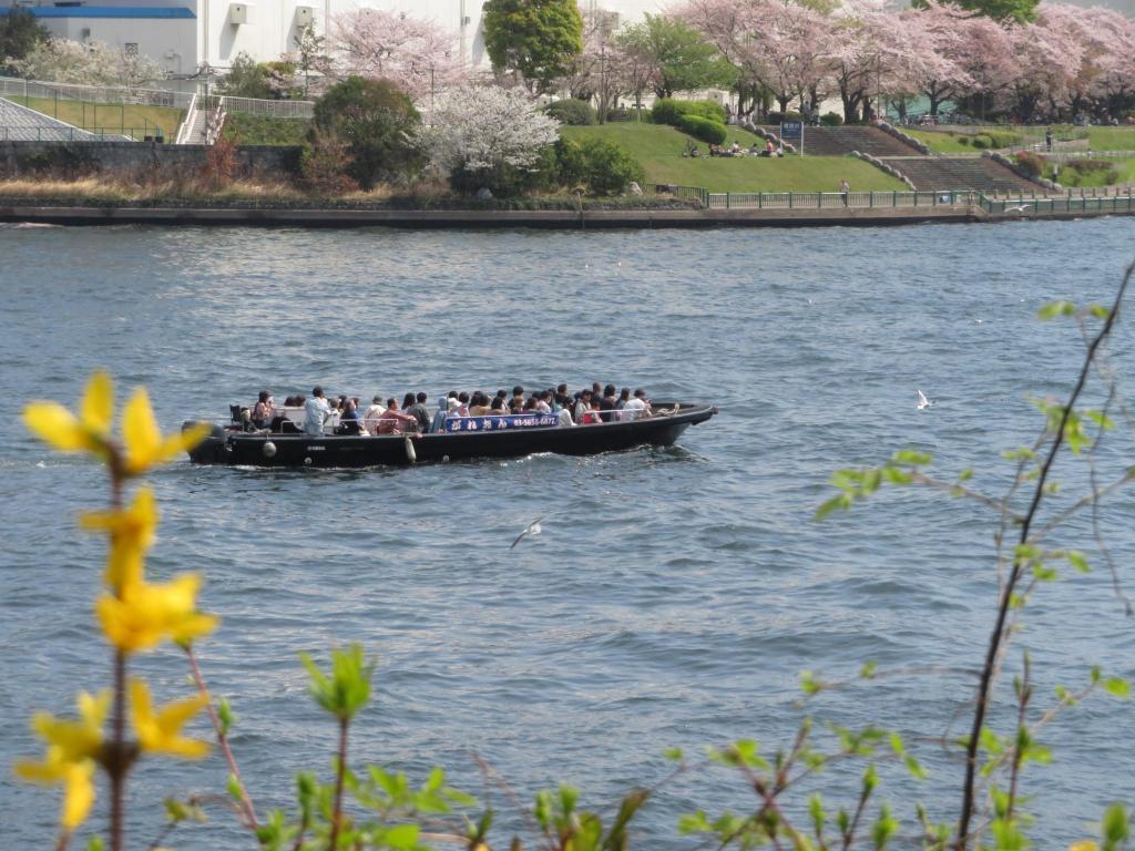  欣赏隅田川沿岸的赏樱胜地