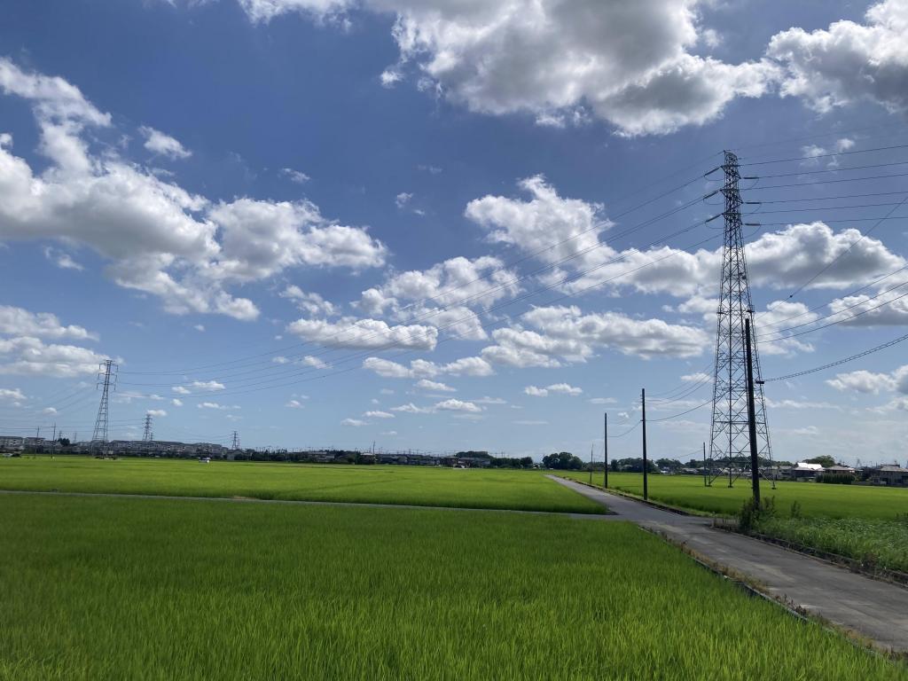  徒步从日本桥到日光!推荐走在街上