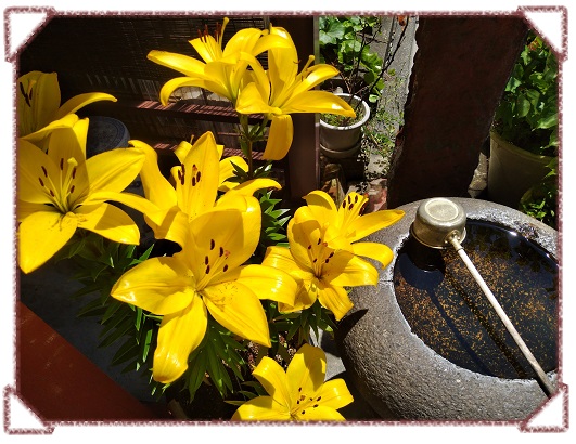  大家一起日记凑的地藏菩萨定期大祭祀