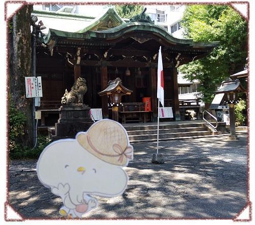  大家一起日记,野餐