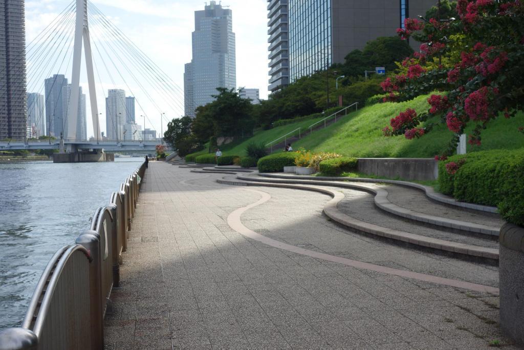 　从新川公园隅田川阳台隅田川阳台景观<新川公园>