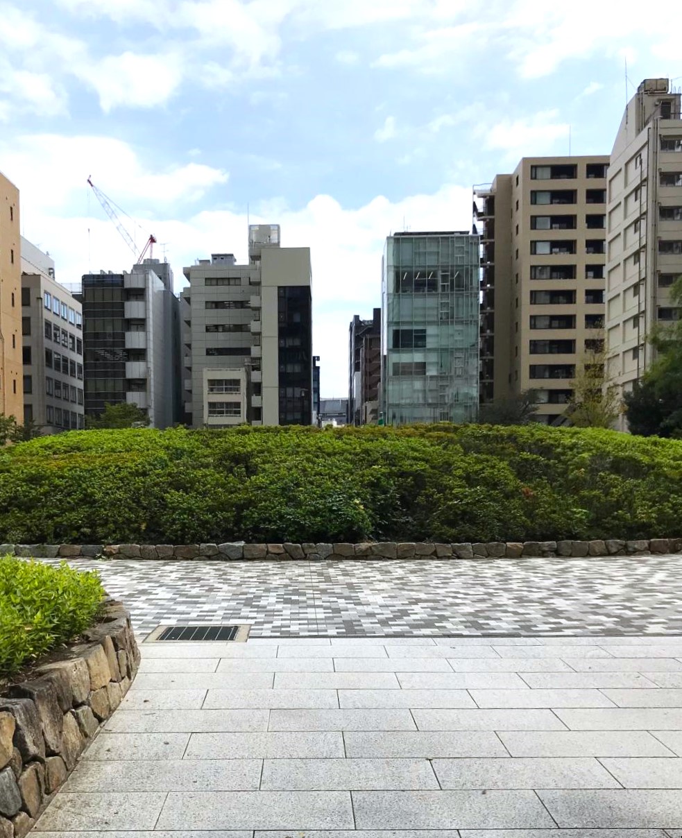  秋天来到了坂本町公园。
