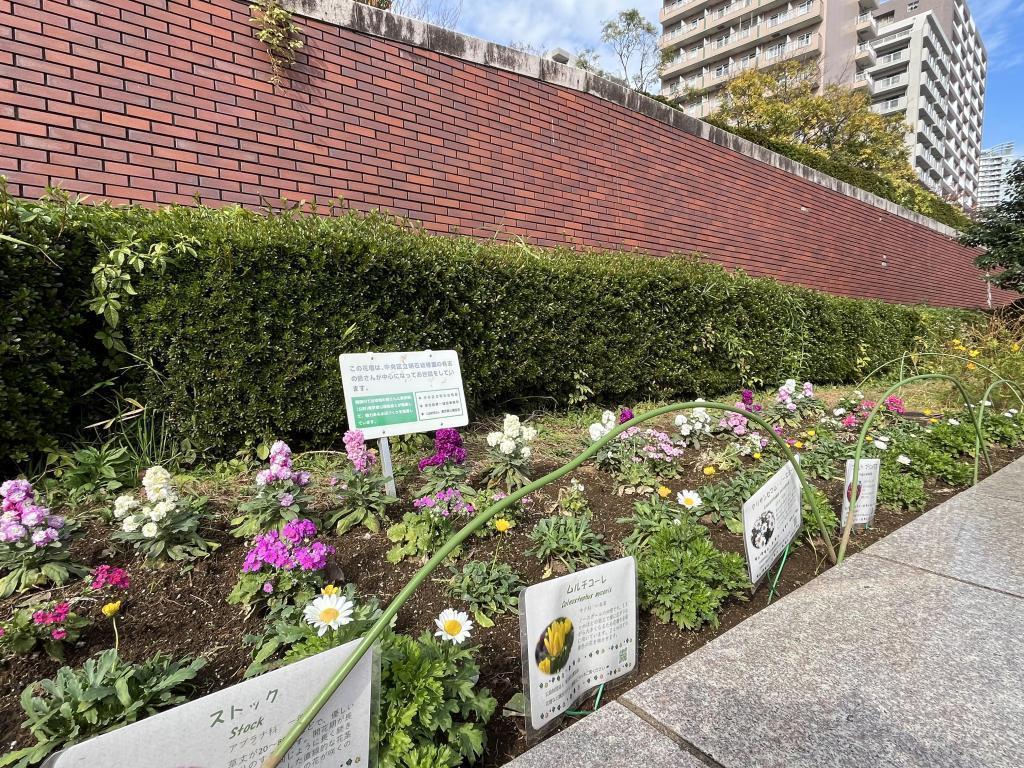  去隅田川阳台散步怎么样