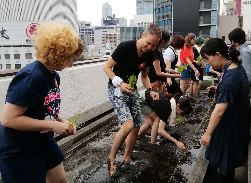  白鹤银座天空农场,2019年的今年也是插秧～白鹤酒造～