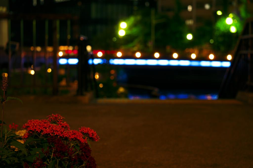 高桥高桥、南高桥水边的夜景