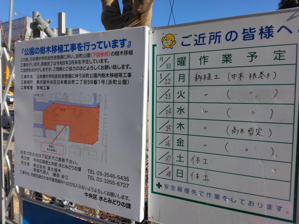 首先是树木的移植工程! 日本桥中学临时校舍、建设准备之二