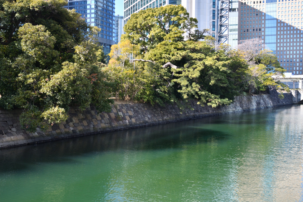  从筑地川沿岸的临时道路眺望的浜离宫恩赐庭园